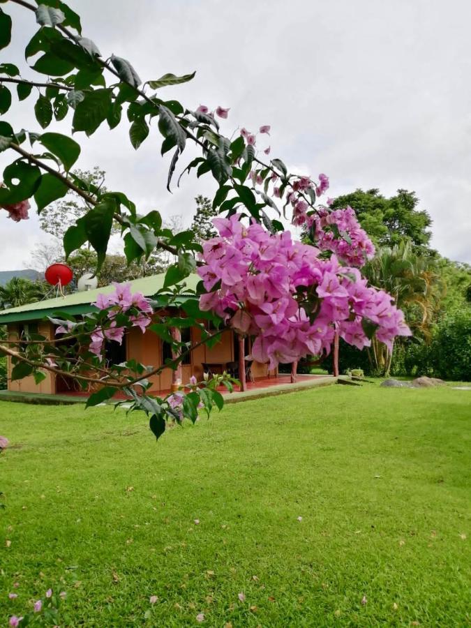 Casita El Jardin Villa Bijagua Dış mekan fotoğraf