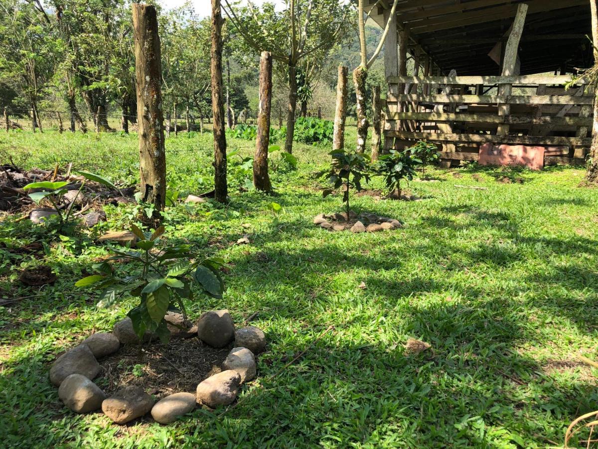 Casita El Jardin Villa Bijagua Dış mekan fotoğraf